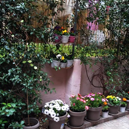 Garden House/thessaloniki/wifi Appartement Thessalonique